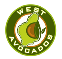 West Avocados